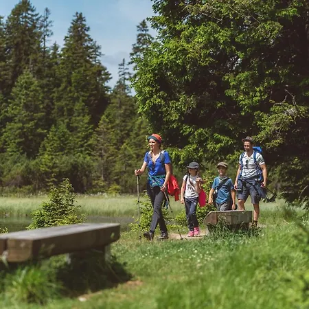 Jakec Trije Kralji Na Pohorju Zgornja Loznica