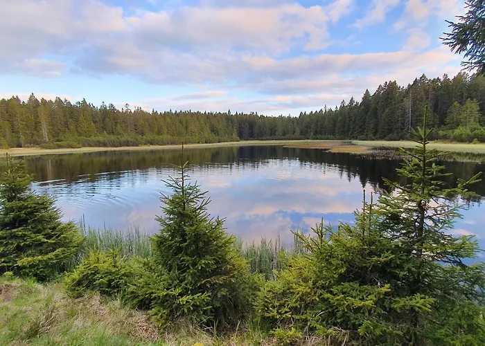 Jakec Trije Kralji Na Pohorju 3*