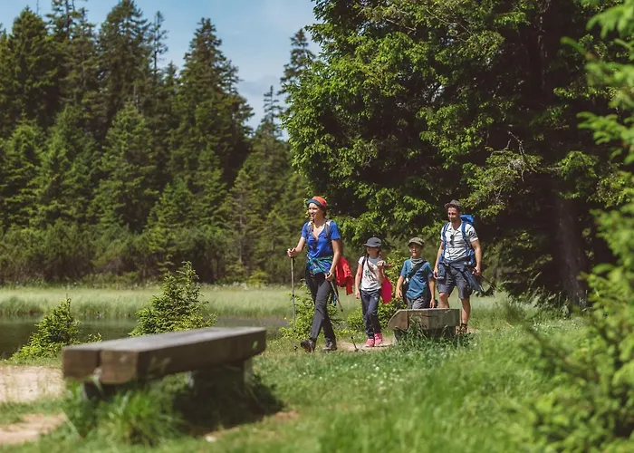 Jakec Trije Kralji Na Pohorju Zgornja Loznica
